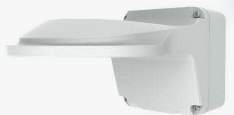 Colorhunter/Zoom Dome Wall Mount